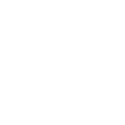 ce logo Santarosa