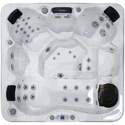 Avalon EC-849L hot tubs for sale in Santarosa
