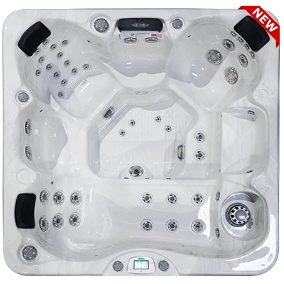 Avalon-X EC-849LX hot tubs for sale in Santarosa