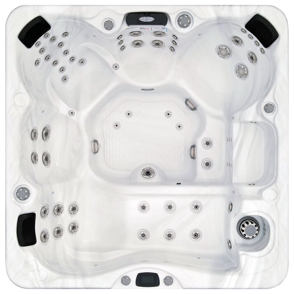 Avalon-X EC-867LX hot tubs for sale in Santarosa